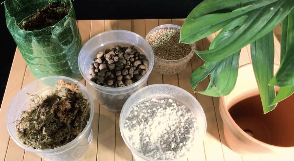 ترکیبات بهترین خاک برای گلدان 