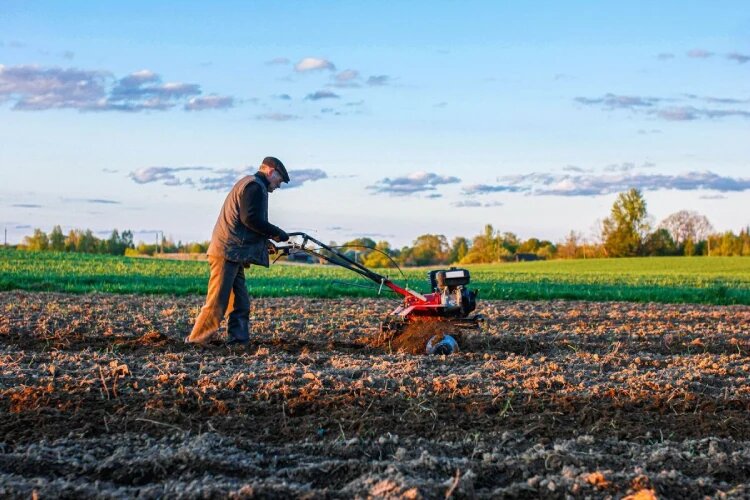 بهترین زمان شخم زدن زمین 