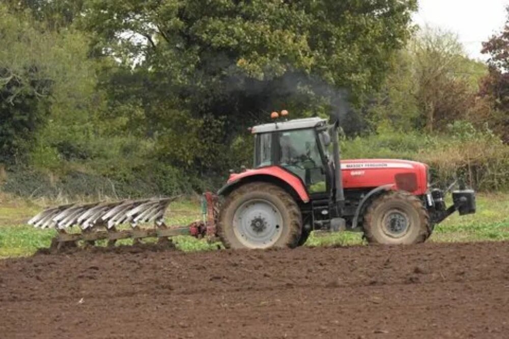 شخم زدن زمین