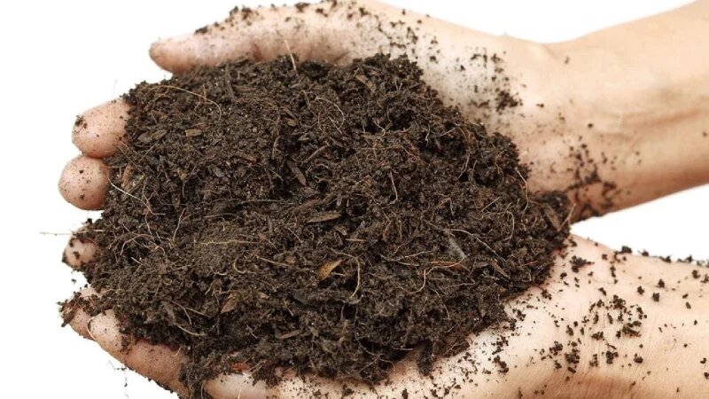 فرق کمپوست و ورمی کمپوست