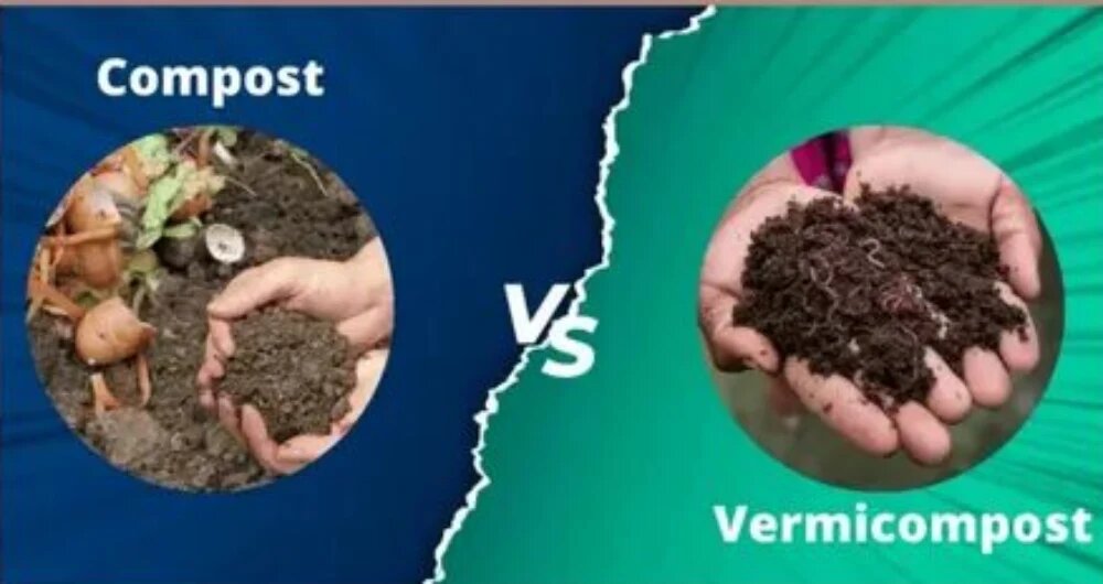 فرق کمپوست و ورمی کمپوست چیست