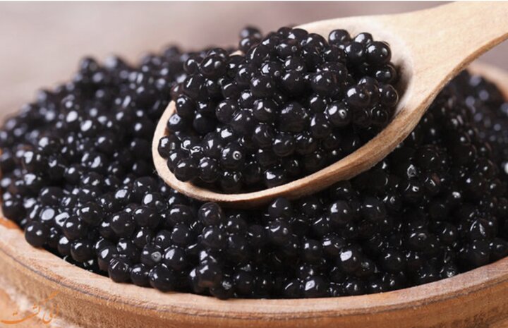 صادرات ۳.۵ تن خاویار ایران به ۳۰ کشور دنیا/ قطر اولین مشتری