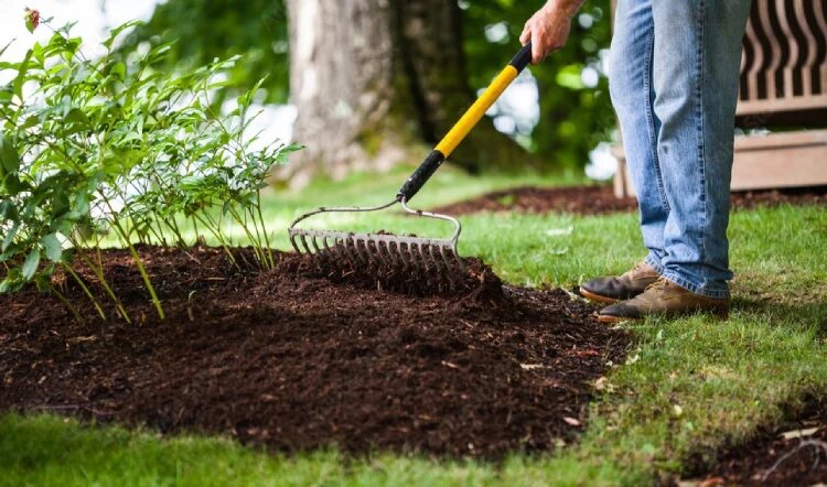 ابزار مالچ پاشی چیست