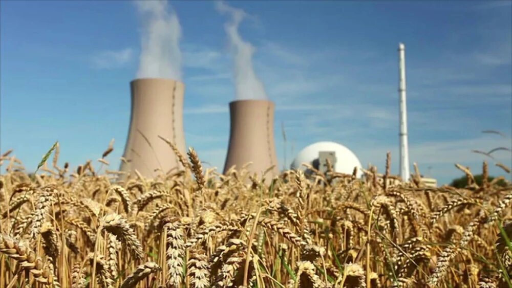 کاربرد انرژی هسته ای در کشاورزی