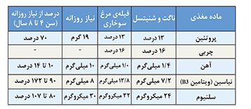 سریع اما سالم: بازنگری علمی نقش ناگت و شنیتسل برای کودکان