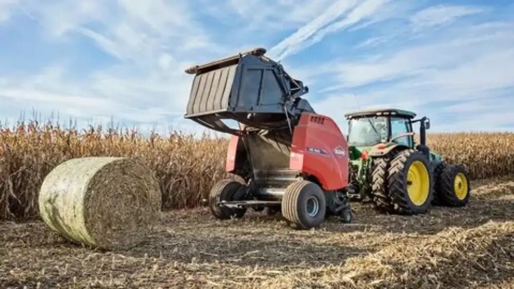 زمان و روش برداشت ذرت علوفه ای