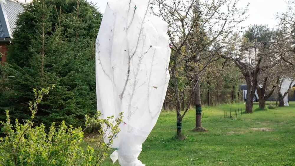 پوشش پلاستیگی بریا جلوگیری از سرمازدگی