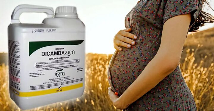 خطرناک ترین سم کشاورزی برای انسان + نکات مهم برای استفاده از سموم