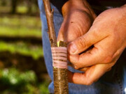 بهترین زمان پیوند درختان میوه چه فصلی است؟ + جدول زمان‌بندی و انواع روش‌ها