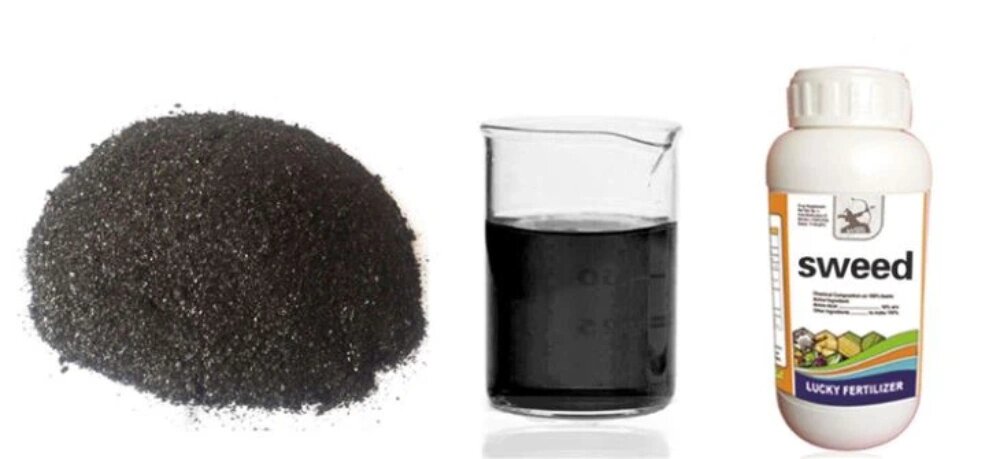 انواع کود جلبک دریایی