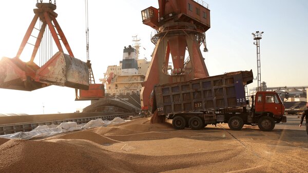 دامپزشکی از فرآیند واردات کالاهای اساسی کنار گذاشته شد