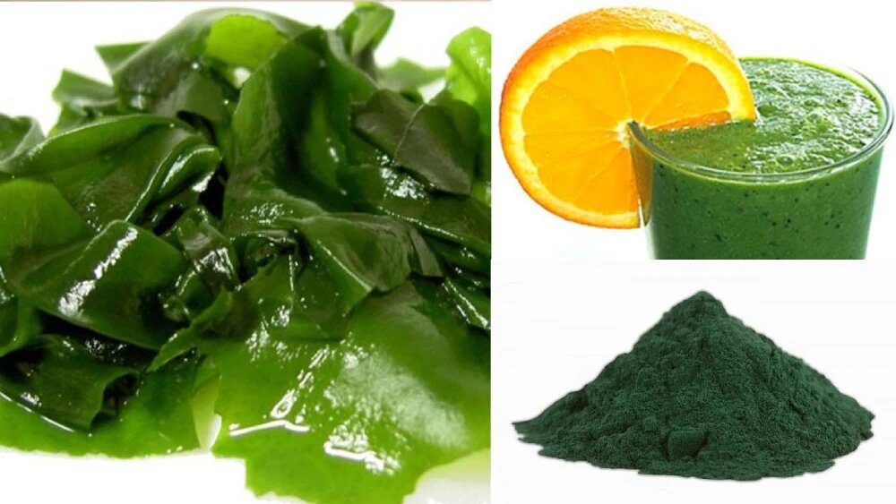 موارد مصرف جلبک اسپیرولینا