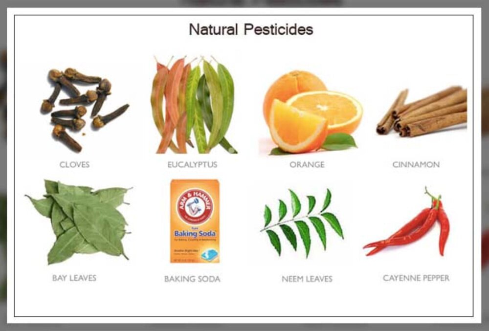 آفت کش های گیاهی 