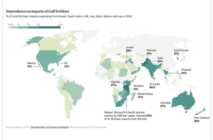 جزئیات وابستگی غذای جهان به تنگه هرمز/ موج قیمتی بر همه تاثیرگذار است