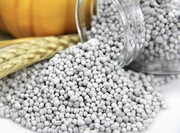 قیمت کود فسفاته در این هفته مشخص می‌شود