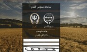 فروش سبوس بدون قیمت گذاری دستوری در سامانه سبوس انجام می شود