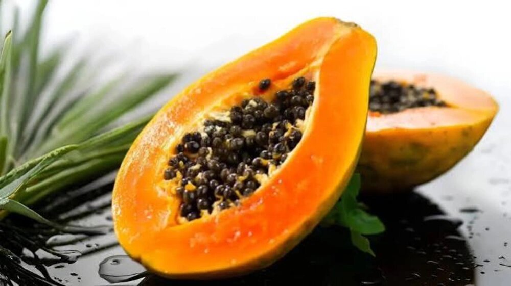 نحوه کاشت بذر پاپایا