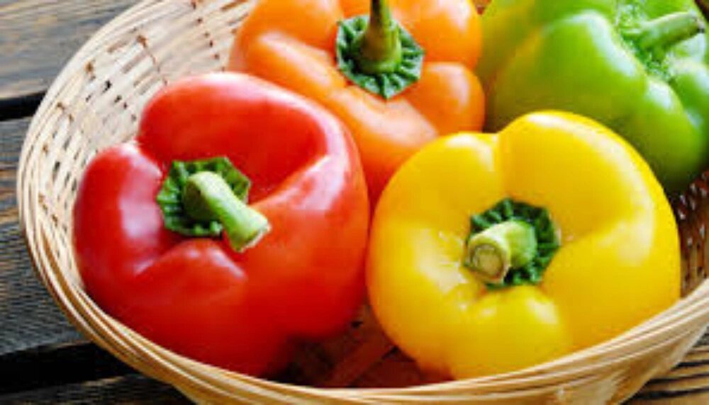 طرز کاشت فلفل در گلدان