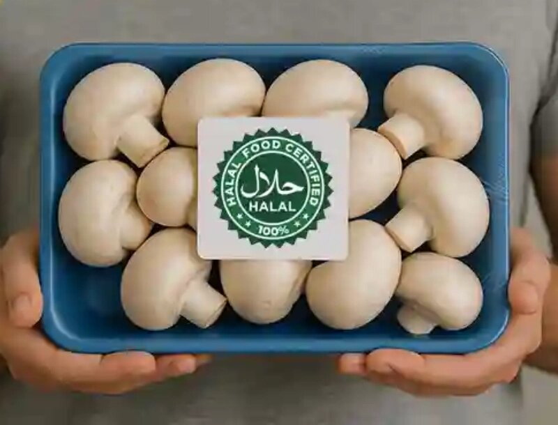 برند حلال در ایران