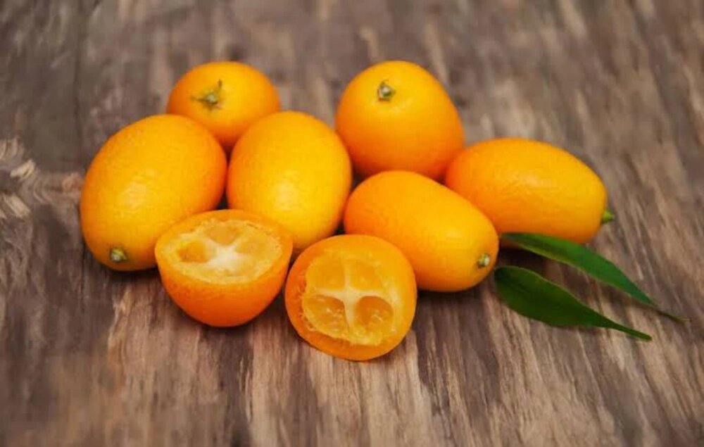 آبیاری کامکوات