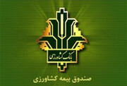صندوق بیمه کشاورزی چیست؟ راهنمای کامل بیمه کشاورزی، شرایط، پوشش‌ها و دریافت خسارت
