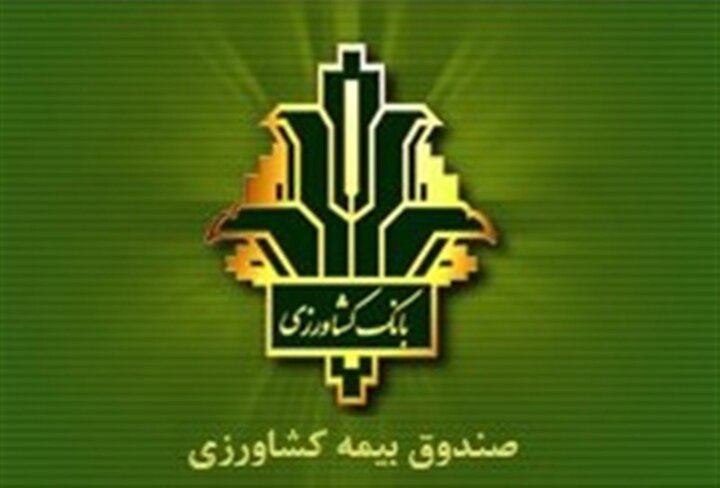 صندوق بیمه کشاورزی چیست؟ راهنمای کامل بیمه کشاورزی، شرایط، پوشش‌ها و دریافت خسارت