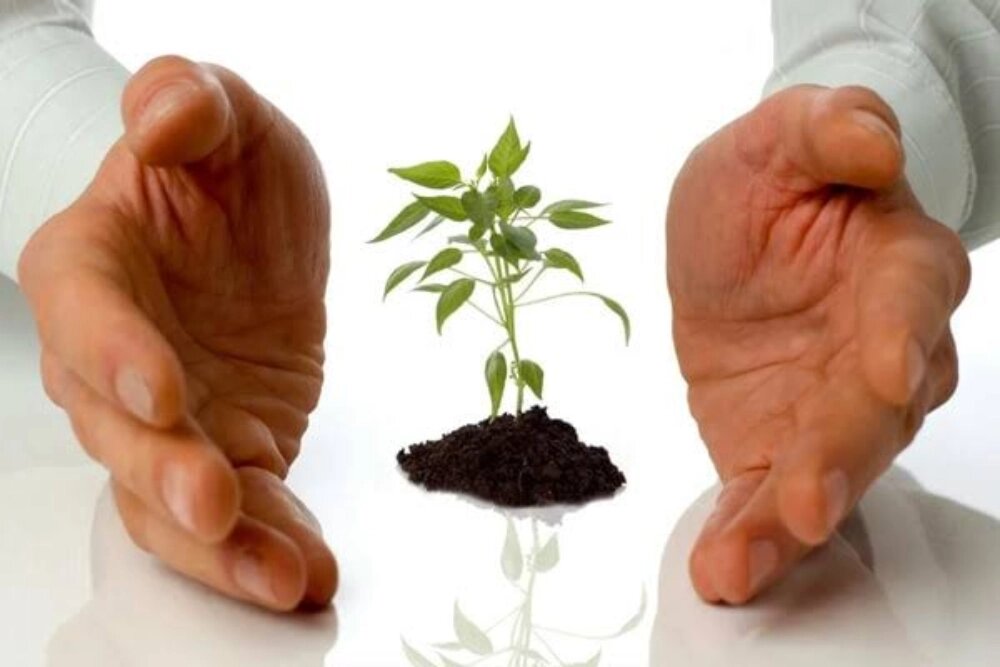 صندوق بیمه کشاورزی