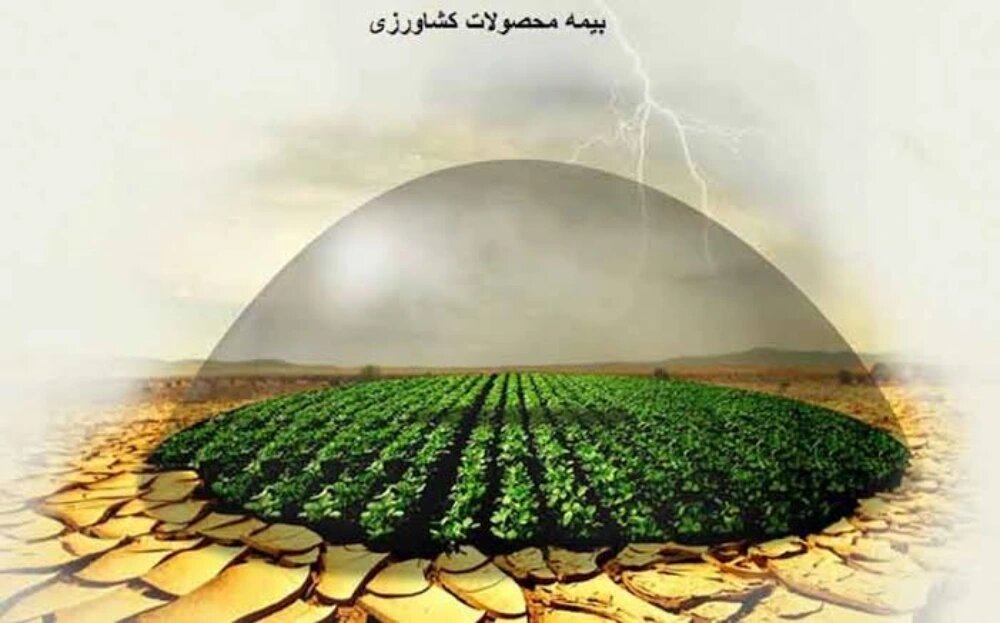 صندوق بیمه کشاورزی چیست