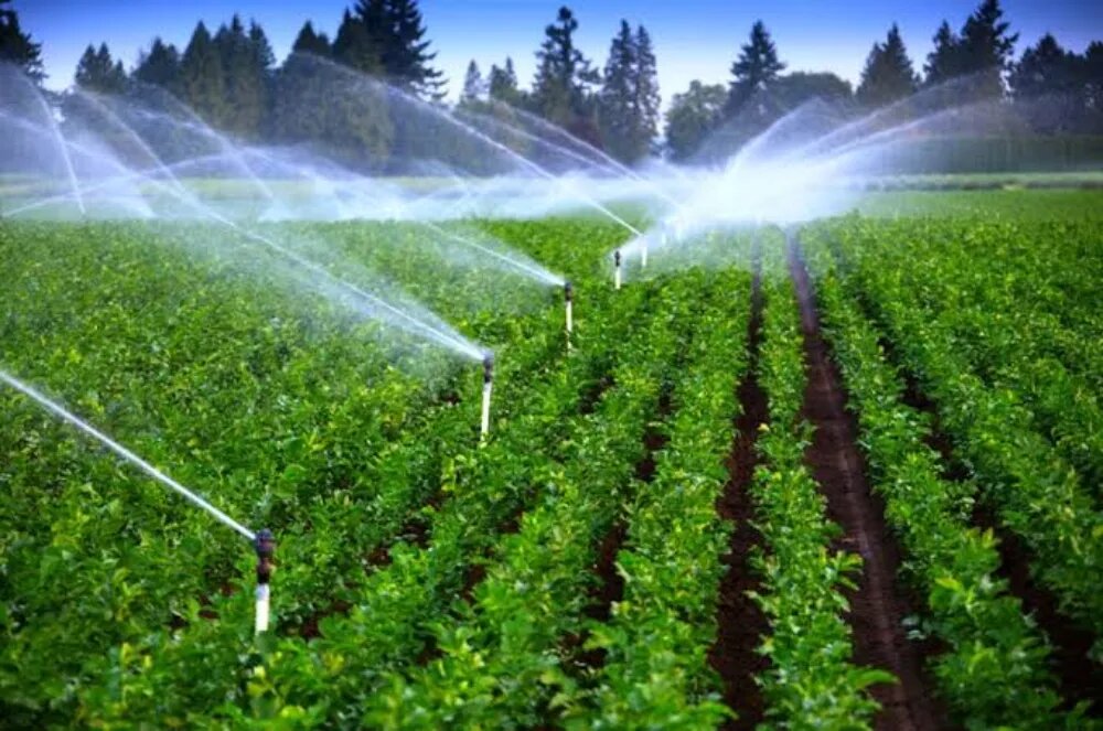 بیمه کشاورزی شرایط
