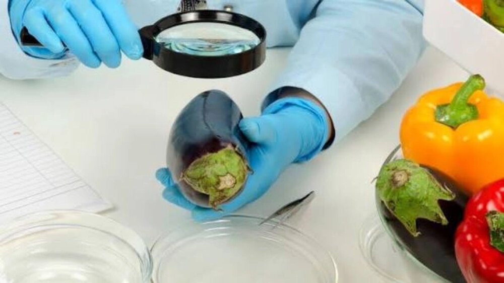 دستورالعمل ایمنی انبار مواد غذایی
