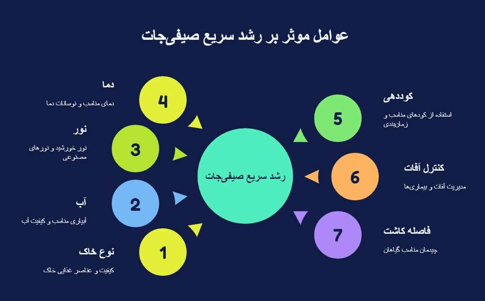 بهترین کود برای صیفی جات