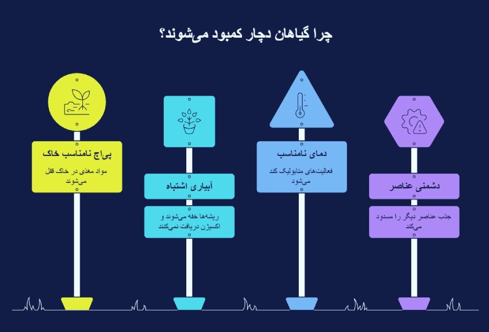 راهنمای تشخیص علائم کمبود عناصر در گیاهان