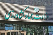 گزارشی از تأخیر صد روزه وزرات جهاد کشاورزی در انتقال عرضه سبوس به بازارگاه؛ ابهام در شفافیت، تهدید تولید و مخاطره برای امنیت غذایی