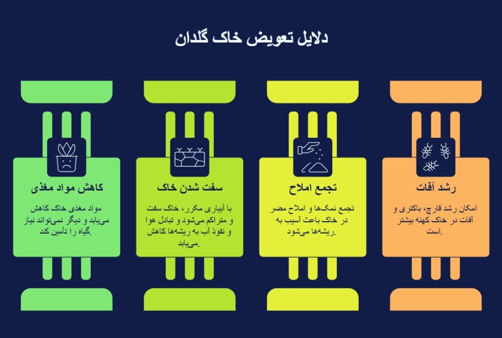 دلایل تعویض خاک گلدان