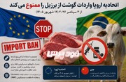 زنگ خطر برای واردات گوشت از برزیل/ اتحادیه اروپا واردات گوشت از برزیل را از شهریورماه ممنوع کرد، چین به حداقل رساند