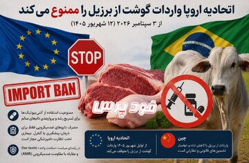 زنگ خطر برای واردات گوشت از برزیل/ اتحادیه اروپا واردات گوشت از برزیل را از شهریورماه ممنوع کرد، چین به حداقل رساند