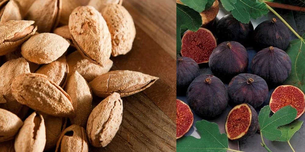 درختان مقاوم به خشکی
