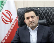 صادرات مرغ مشروط به تنظیم بازار داخلی شد/افزایش سهم مرغ در سبد خانوار