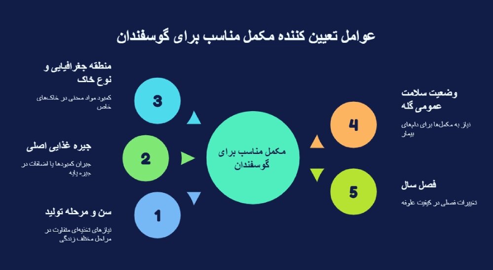 اینفوگرافی بهترین مکمل برای گوسفند
