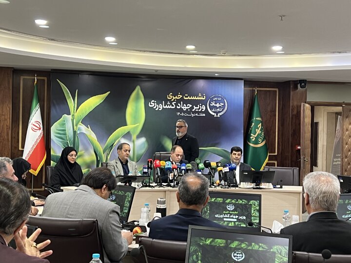نحوه پرداخت بدهی واردکنندگان کالای اساسی در جلسه بعدی دولت نهایی می شود