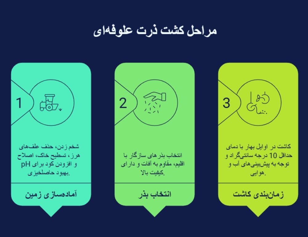 مراحا کشت ذرت علوفه ای