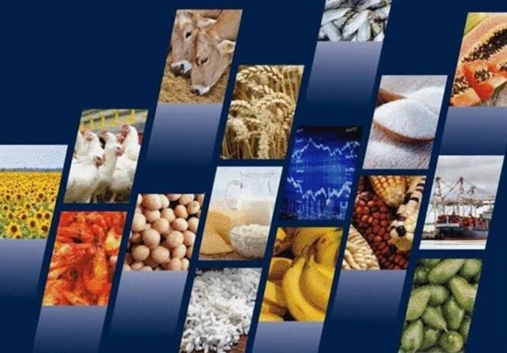 زنجیره تامین مواد غذایی