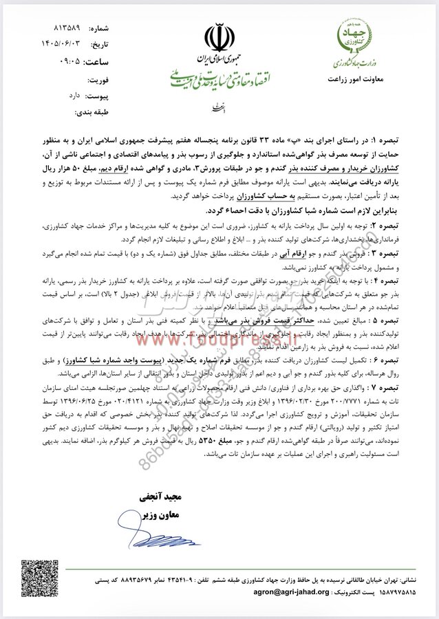 قیمت فروش بذر گندم و جو برای سال زراعی ١٤٠٥ اعلام شد + سند