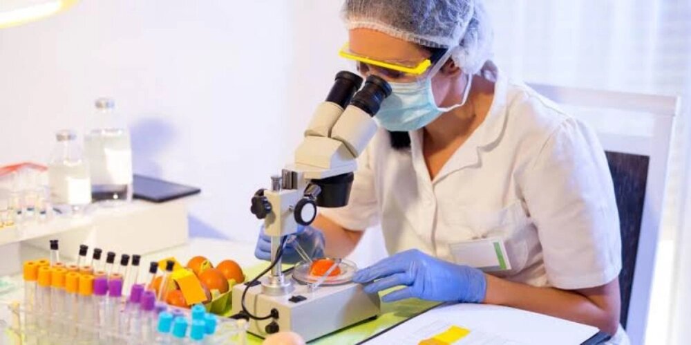 اصول نمونه برداری مواد غذایی