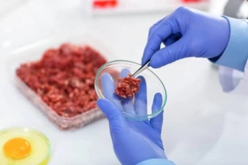 استانداردهای نمونه برداری مواد غذایی
