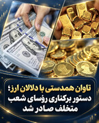 تاوان هم‌دستی با دلالان ارز/دستور برکناری رؤسای شعب متخلف صادر شد