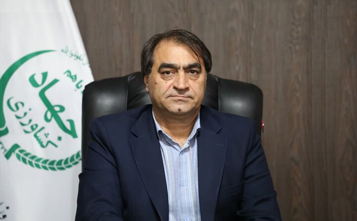 خرید حمایتی ۳۰ هزار تن مرغ از فردا آغاز می شود