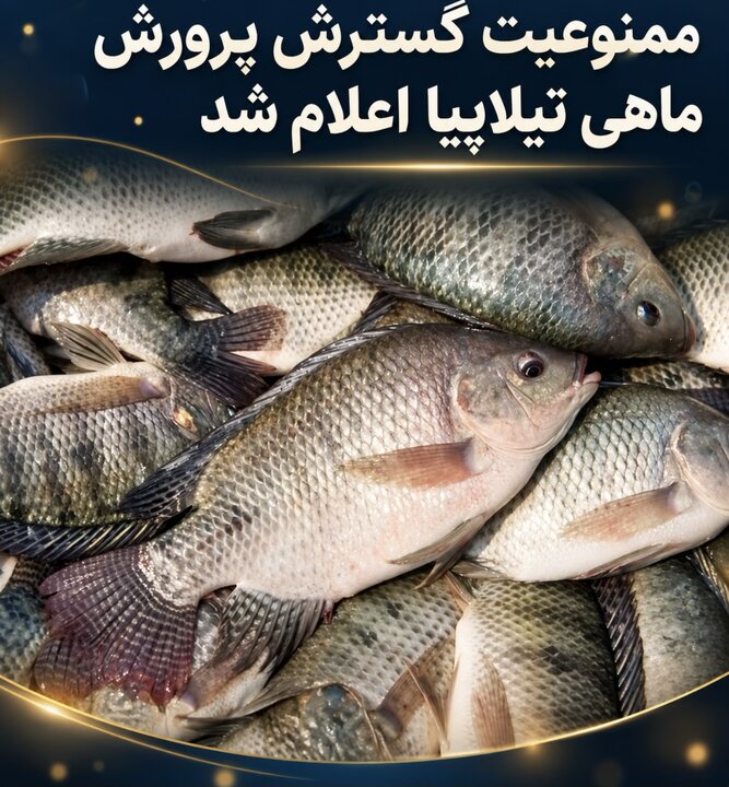 ممنوعیت گسترش پرورش ماهی تیلاپیا اعلام شد