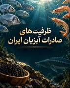 ظرفیت‌های صادرات آبزیان ایران تشریح شد