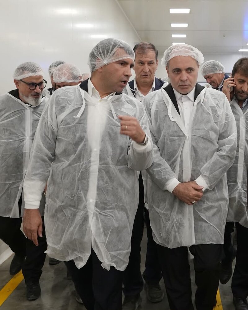 چگونگی تکمیل زنجیره ارزش پسته با راه‌اندازی بورس و پایانه صادراتی&nbsp;